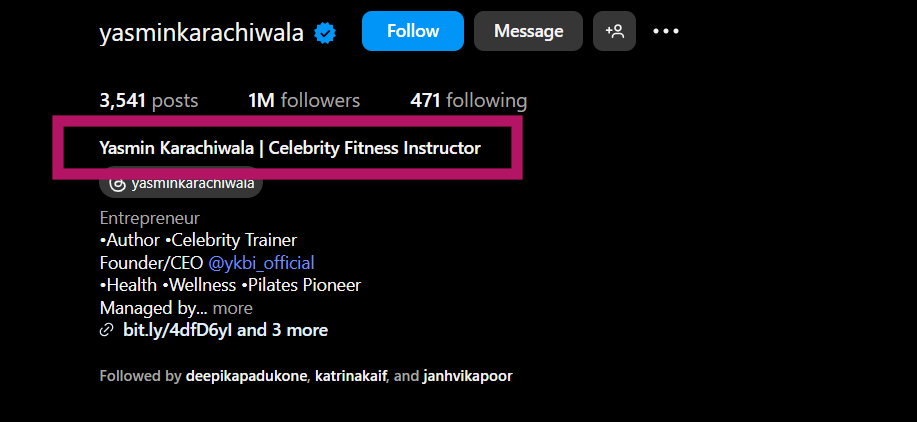 how to write a good bio to increase Organic Instagram Followers